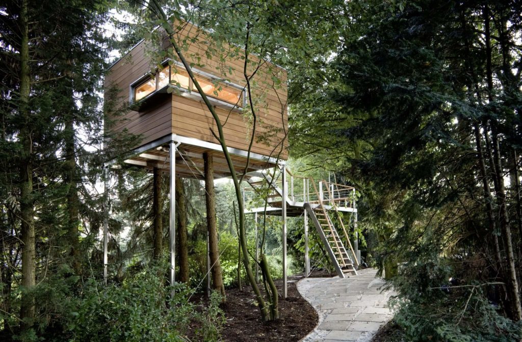Tiny home in the woods