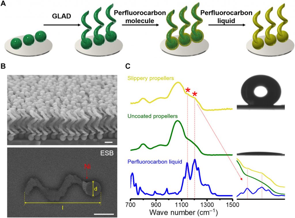 Excerpt from research paper: Fabrication and characterization of the perfluorocarbon-coated “slippery” micropropellers. (A) Schematic of the fabrication process. (B) SEM (top) and ESB-SEM (bottom) images of the micropropellers. The yellow arrows indicate the length (l) of the propeller and the diameter (d) of the head of the propeller. The white area is the nickel part of the propeller. Scale bars, 500 nm. (C) FTIR spectroscopy of the micropropellers without coating and with the perfluorocarbon coating, and the perfluorocarbon liquid. The enlarged spectra are displayed at the bottom right, proving the presence of the perfluorocarbon. The contact angles of the wafer with an array of coated helices (top) and uncoated helices (bottom) are shown, respectively.“This slippery coating is crucial for the efficient propulsion of our robots inside the eye,” Wu, one of the authors of the research paper said, “as it minimizes the adhesion between the biological protein network in the vitreous and the surface of our nanorobots.”