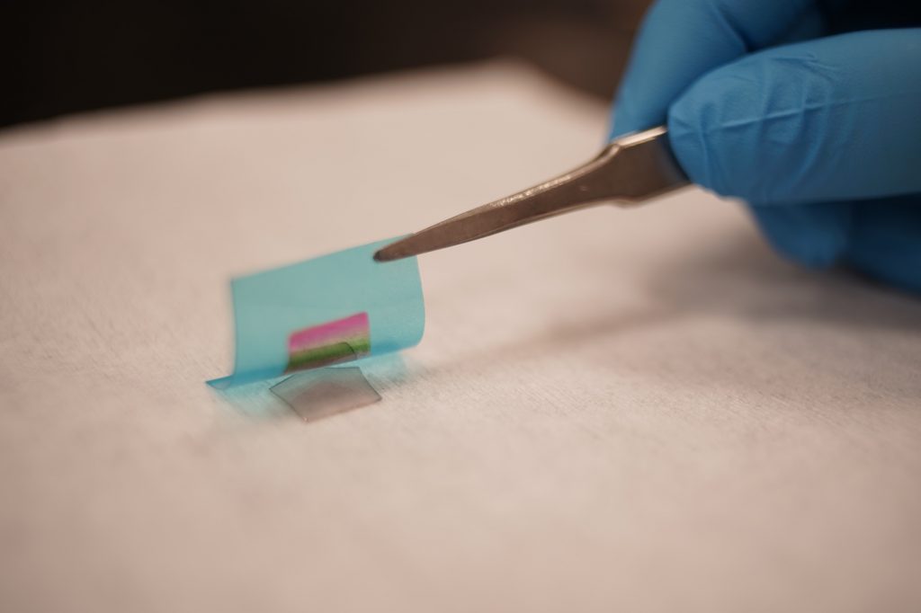 MIT researchers have devised a way to grow a single crystalline compound semiconductor on its substrate through two-dimensional materials. The compound semiconductor thin film is then exfoliated by a flexible substrate, showing the rainbow color that comes from thin film interference. Photo credits: Wei Kong and Kuan Qiao
