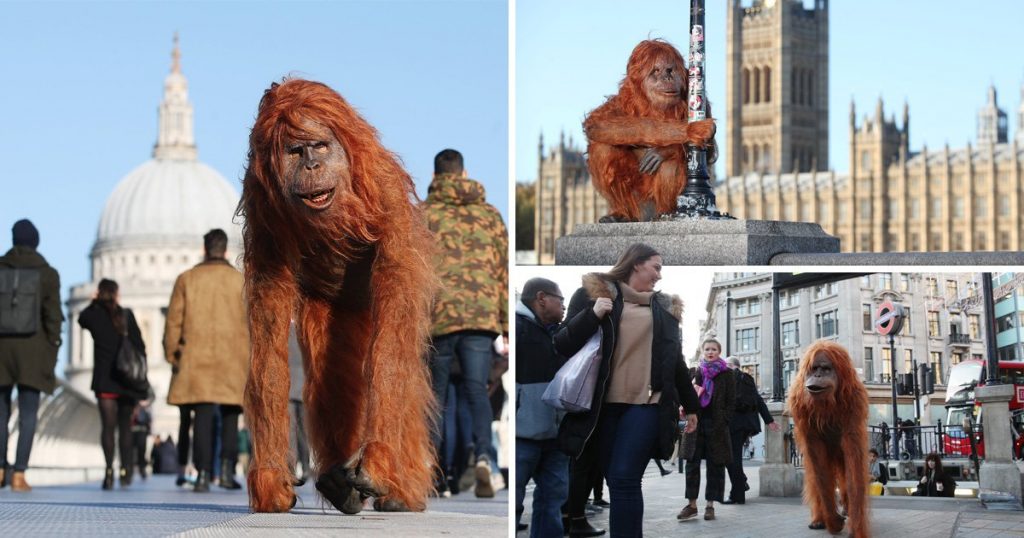 Iceland Robotic Orangutan around London