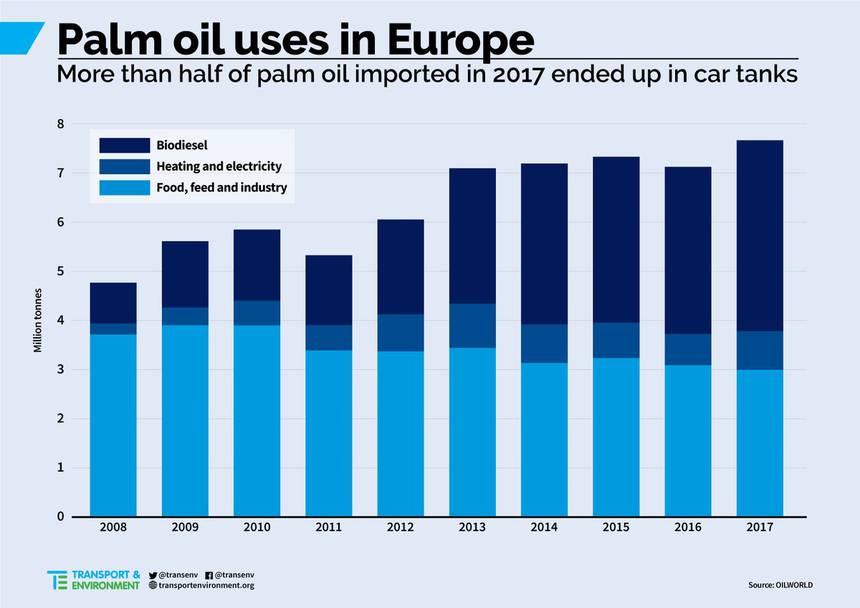 Palm oil uses in Europe