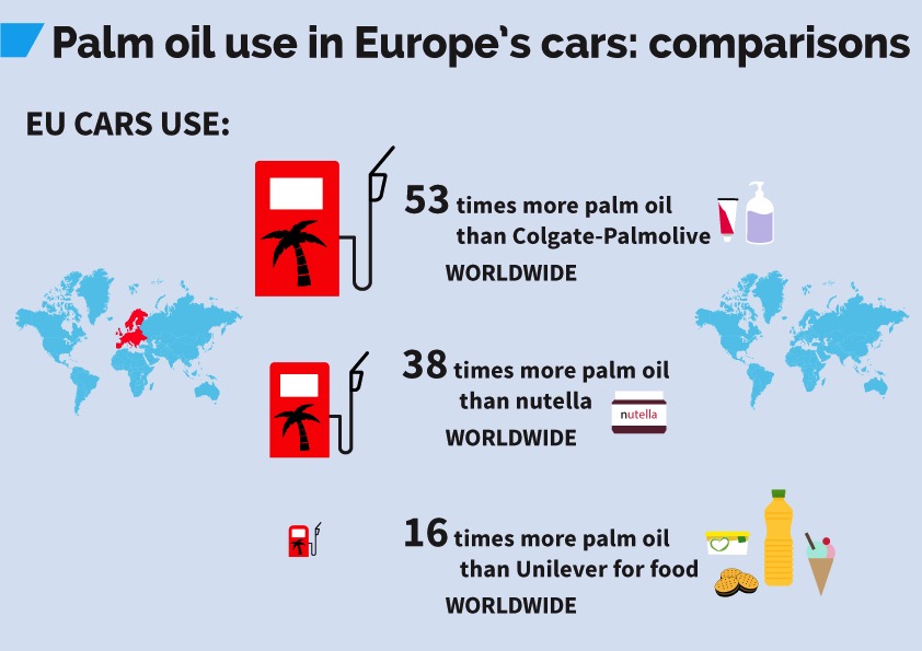 Palm oil use in Europe's cars: comparisons