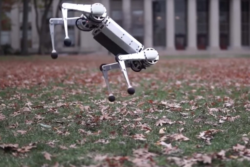 MIT's Mini Cheetah backflipping