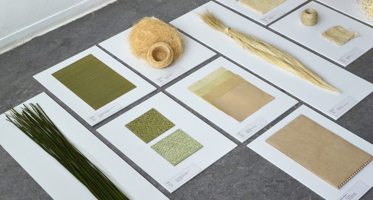 Invasive Weeds Turned Into Sustainable Furniture And Packaging Materials