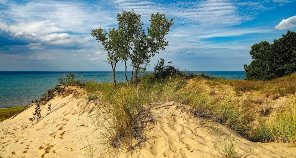 Indiana Dunes beach