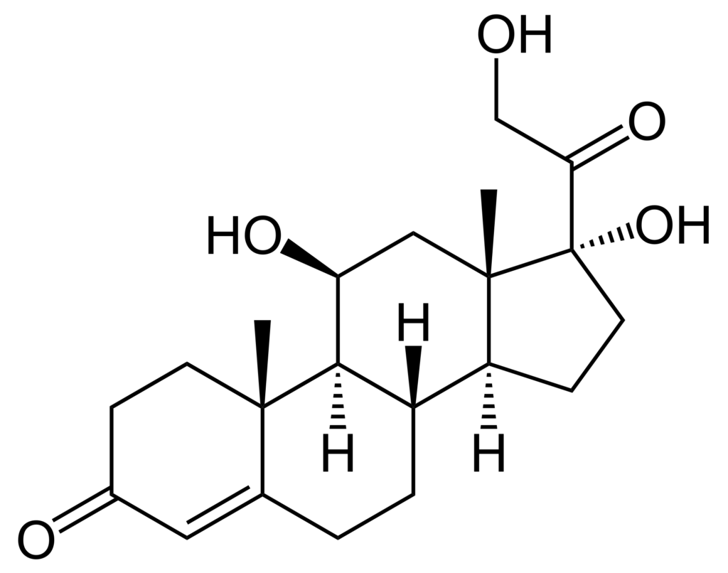 cortisol molecule
