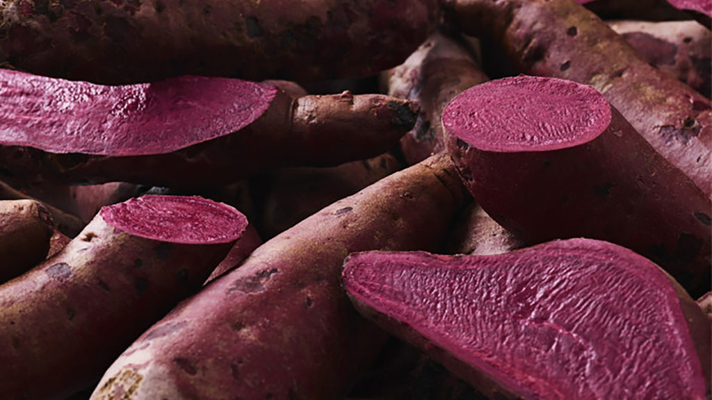 Hansen Sweet Potato