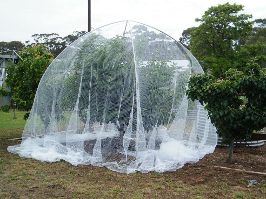 Fruit tree netting