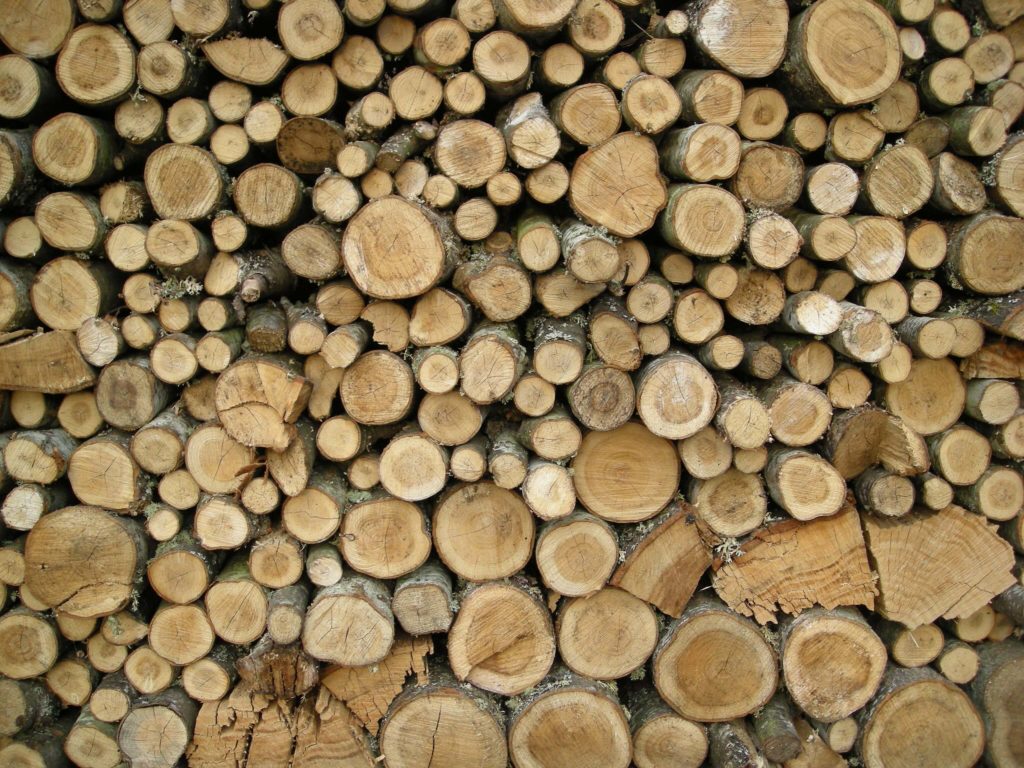 stacked wood which could be used to create a wood-based electricity generator