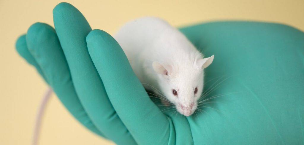 HIV eliminated from the genomes of mice