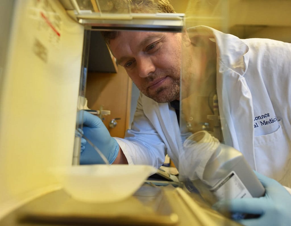 Dr. Paul O'Connor