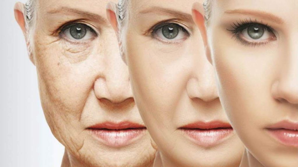 By removing a protein found on surface of aged brain stem cells, the cells became rejuvenated and regain their normal regenerative function.