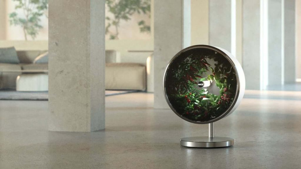 rotary hydroponics, developed by NASA, grows plants 2x faster!