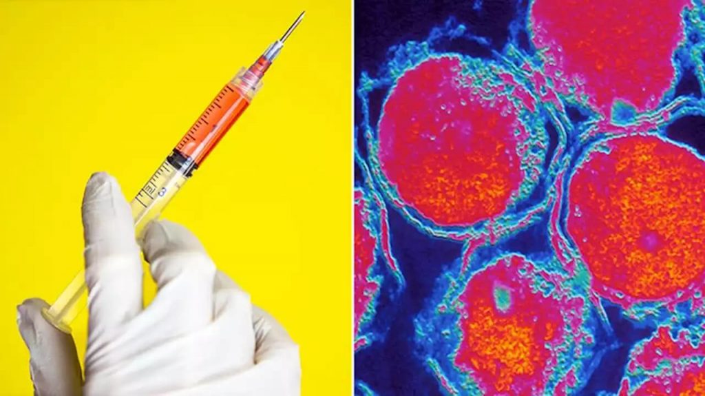 Chlamydia vaccine passes first stage of human trials