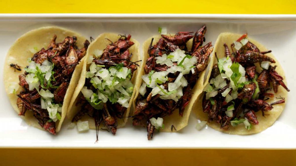 Grasshopper wrap