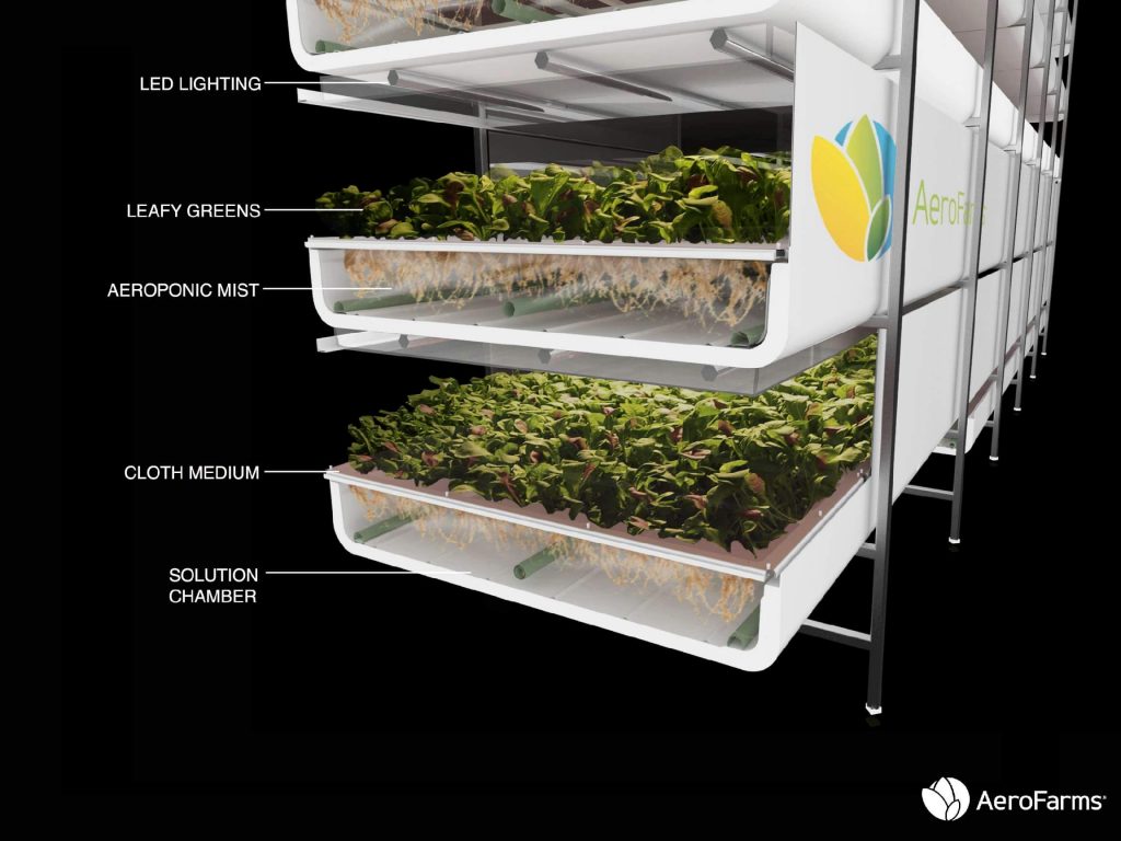 AeroFarms technology. Photo Credit: AeroFarms