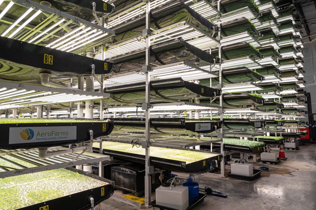 Singapore Airlines has partnered up with a high-tech urban farm to provide it's customers with the best, freshest meals possible. Photo Credit: David Slotnick/Business Insider