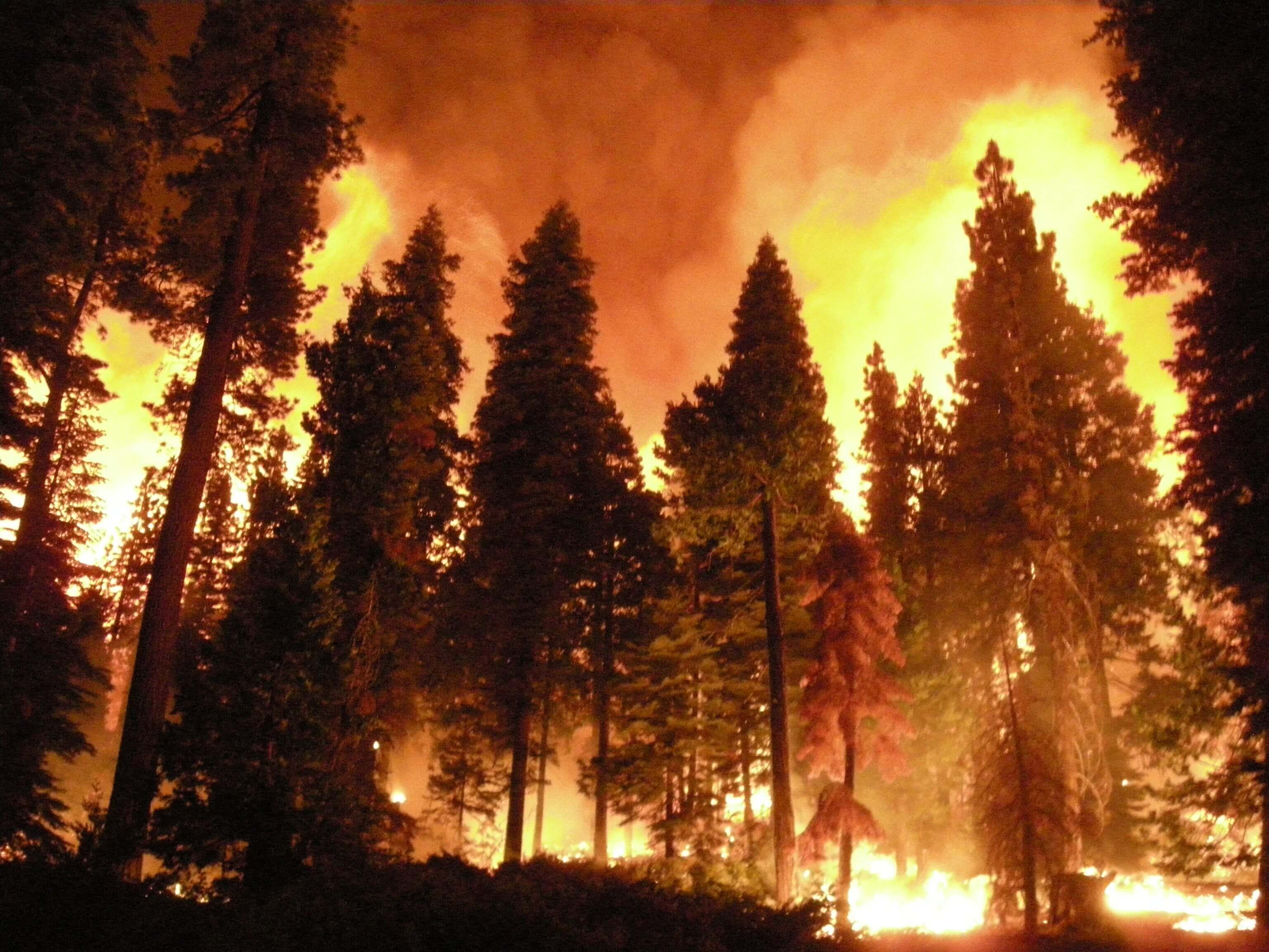 Alaska wildfires