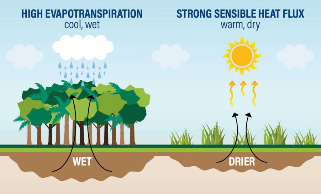 Evaporation cycle