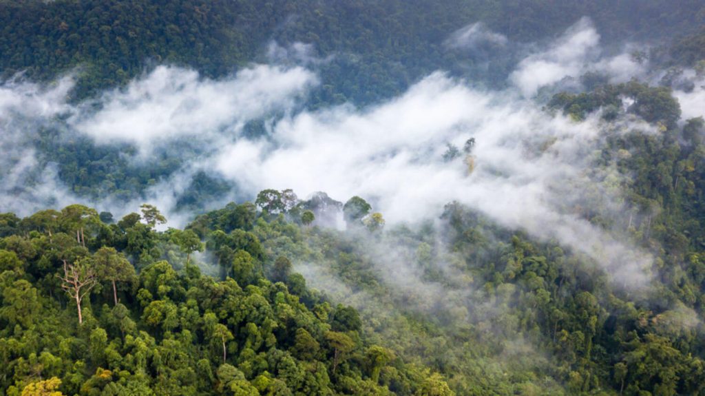 Water evaporation over the amazon rainforest