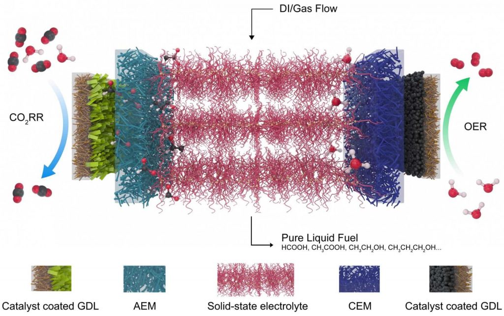 This schematic shows the electrolyzer developed at Rice to reduce carbon dioxide, a greenhouse gas, to valuable fuels. At left is a catalyst that selects for carbon dioxide and reduces it to a negatively charged formate, which is pulled through a gas diffusion layer (GDL) and the anion exchange membrane (AEM) into the central electrolyte. At the right, an oxygen evolution reaction (OER) catalyst generates positive protons from water and sends them through the cation exchange membrane (CEM). The ions recombine into formic acid or other products that are carried out of the system by deionized (DI) water and gas. 