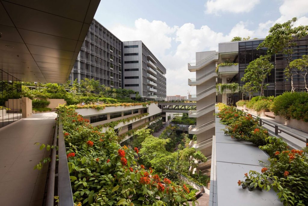 this hospitals forest-like sanctuary design lowers blood pressure and relaxes patients and visitors