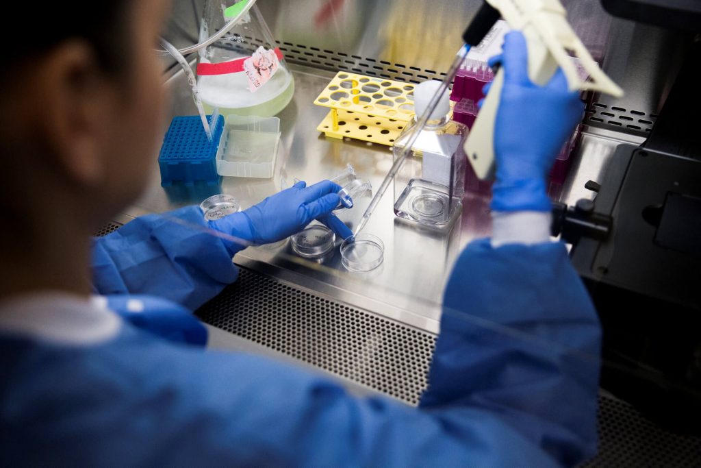brain organoids producing brainwaves get hooked up to a robot