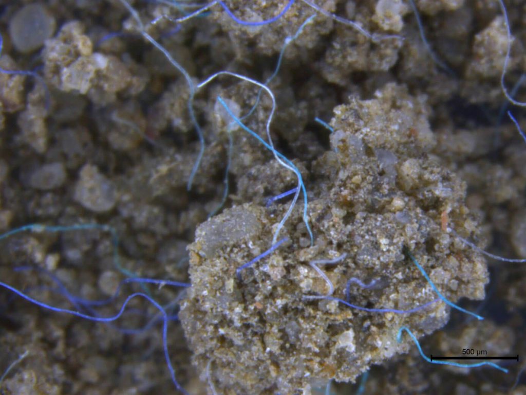 Worms cant thrive in soil with microplastics