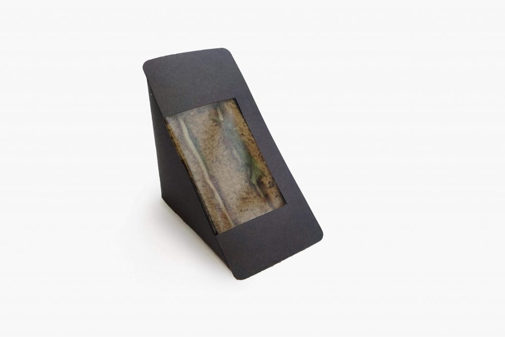 Bioplastic made from fish waste