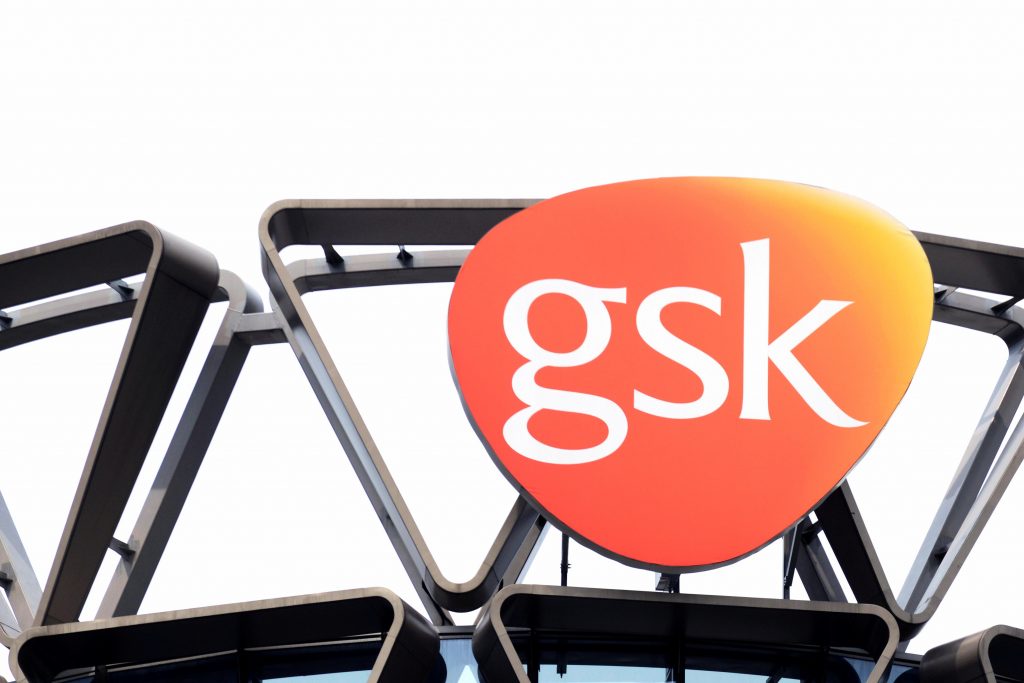 GlaxoSmithKline landmark study a maintenance therapy for a form of ovarian cancer reduced the risk of disease progression or death by 38%