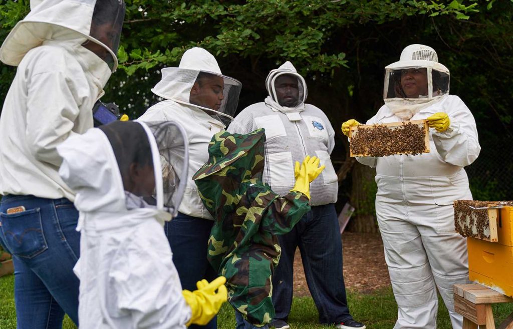 Detroit Hives Is Transforming Vacant Lots Into Bee Farms