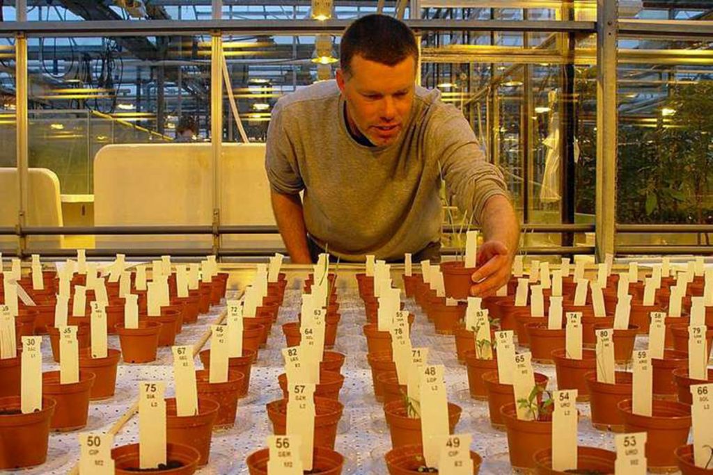 Tomatoes, Peas And Other Crops Can Be Grown On Mars And The Moon