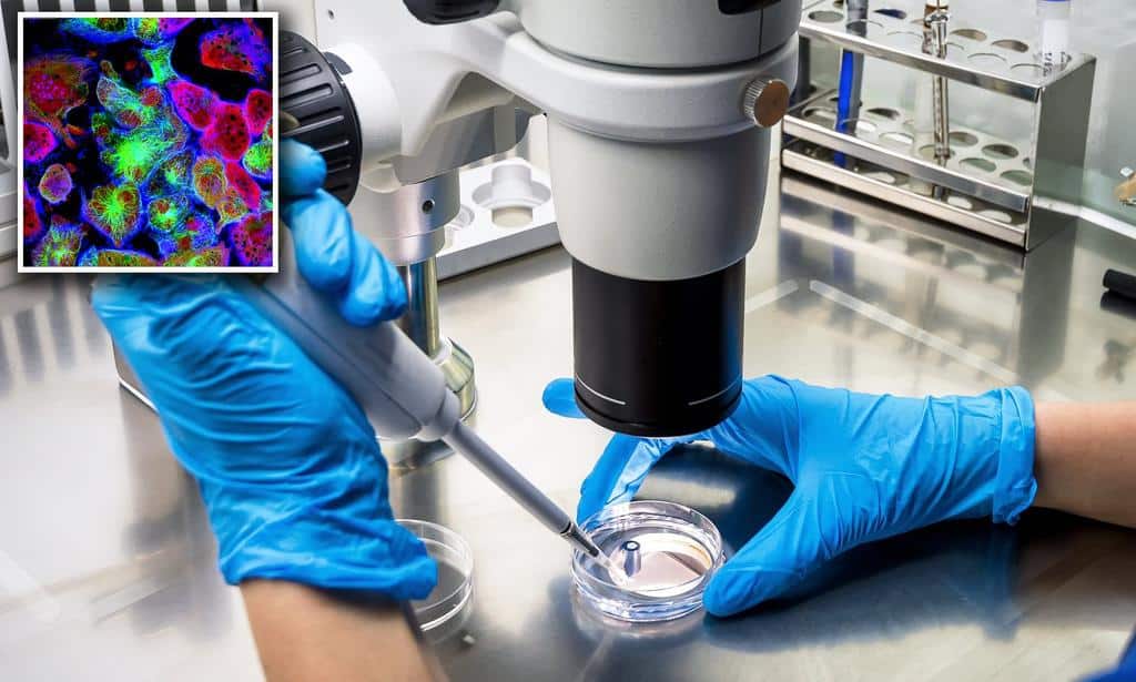 Human Trials of a Virus That Can Kill All Types of Cancer To Begin Next Year