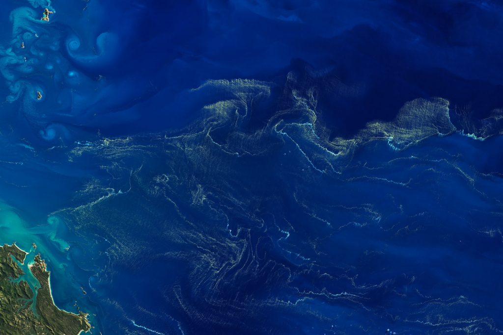 View of nitrogen fixers as seen from space by NASA