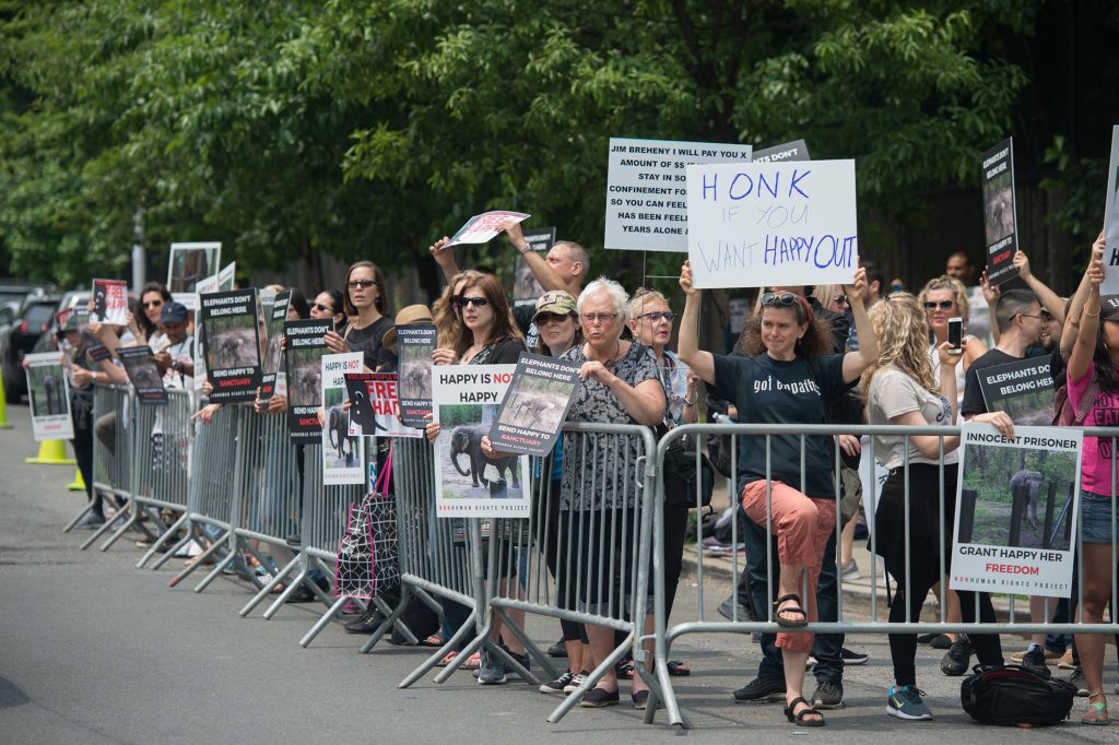 Protestors for Happy the elephant