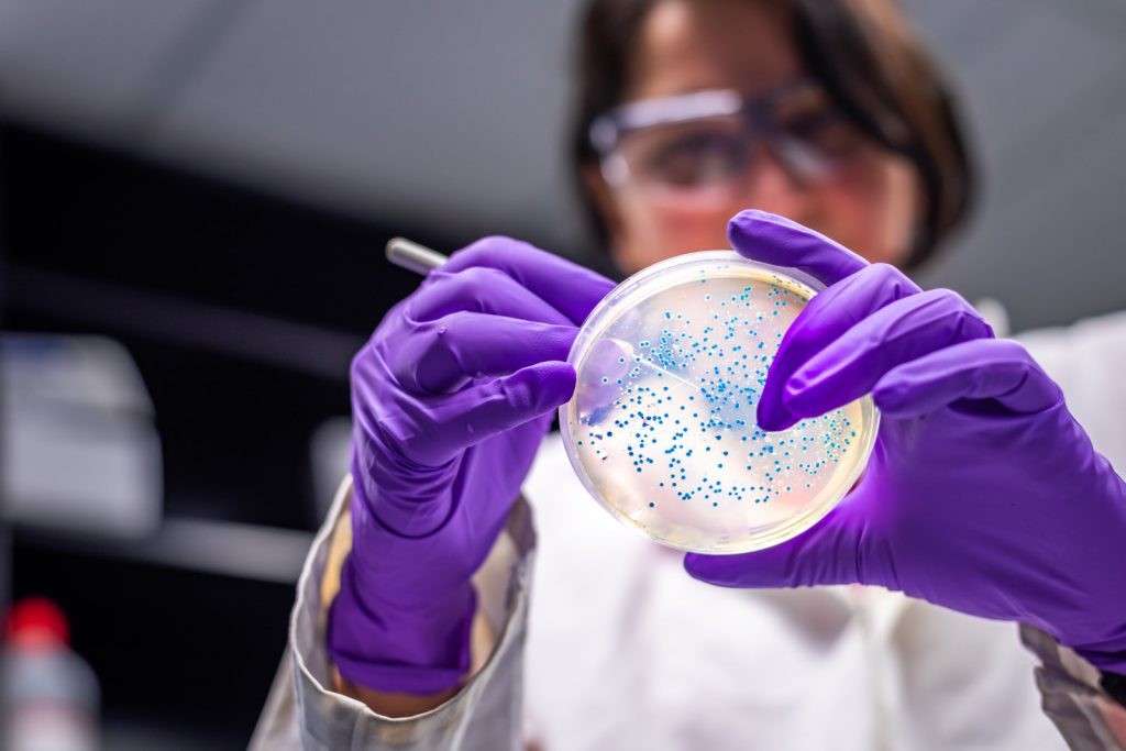 Female scientist working on an E. coli culture