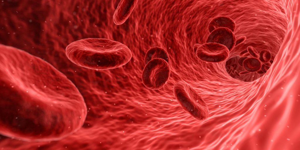 Blood cells in the bloodstream