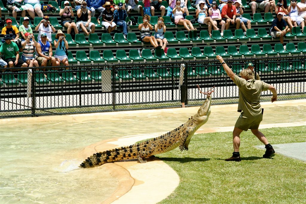 Steve Irwin's Family Opens Elephant Hospital In Indonesia
