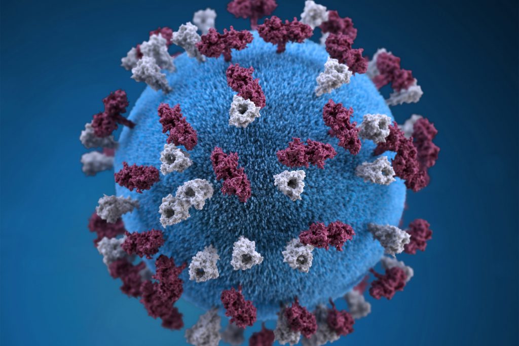 Measles causes immune amnesia