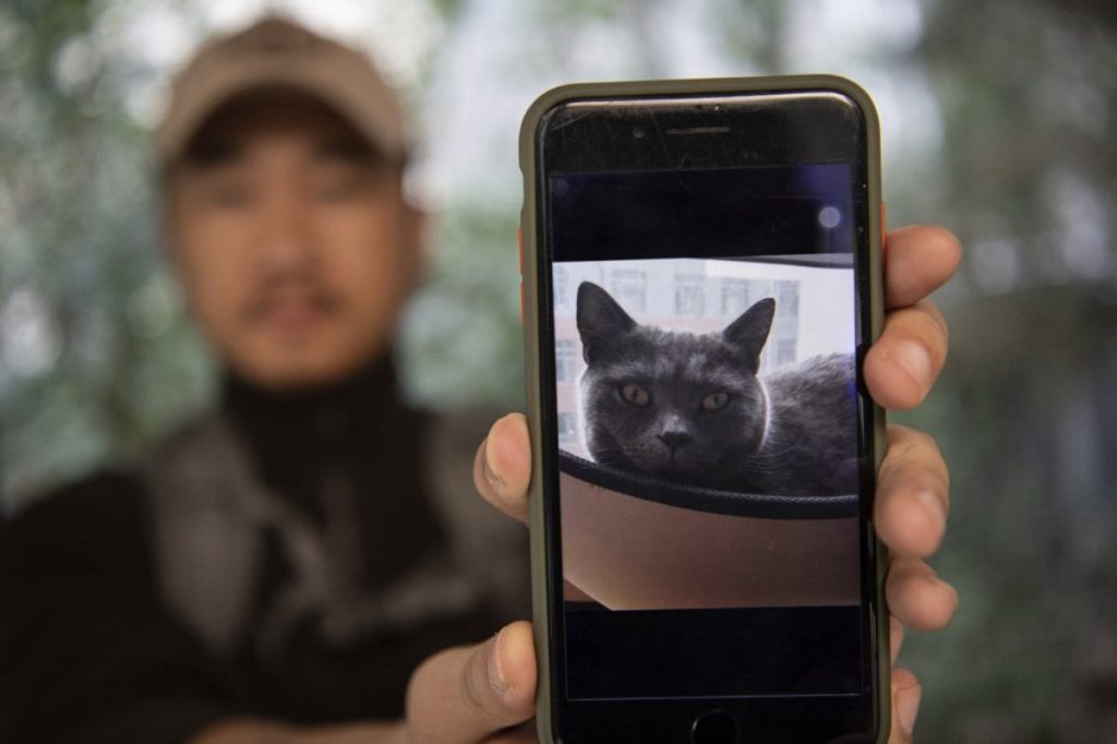 Chinese 'Pet Detective' Has Already Recruited Over 1,000 Animals