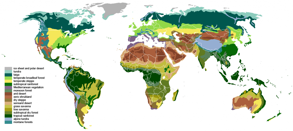Tropical forests are few