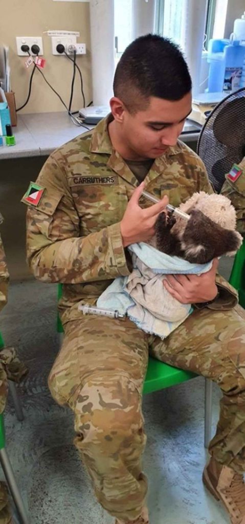 Army Soldiers Use Their Free Time To Take Care Of Injured Koalas