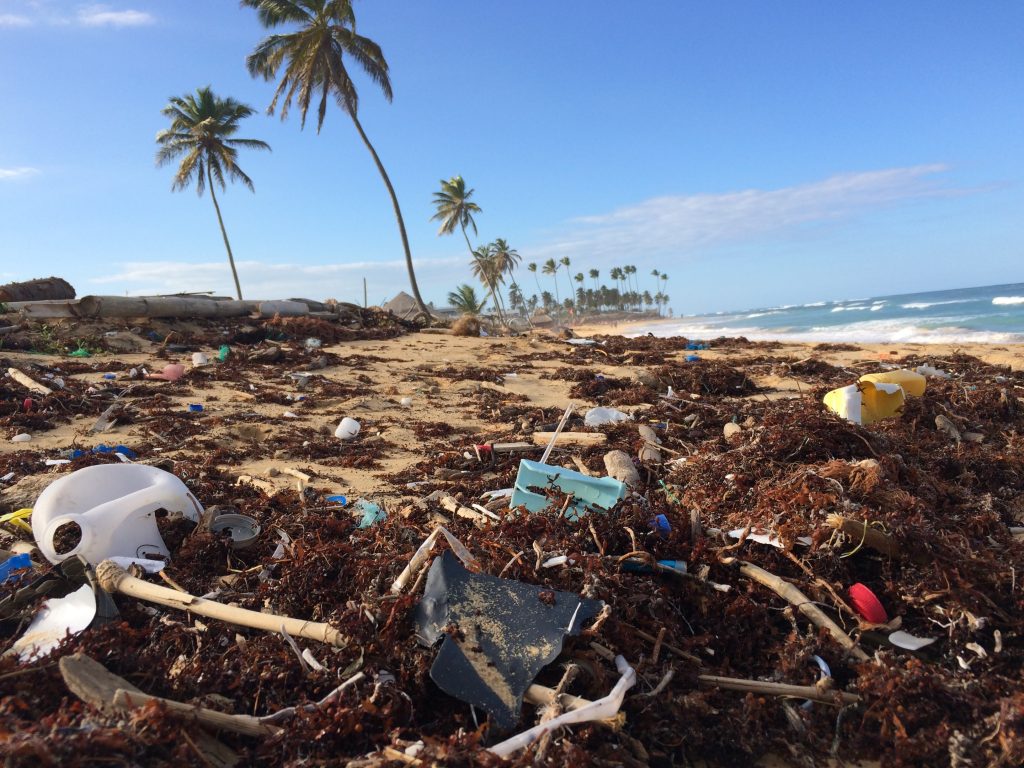 Assorted Ocean Pollution thats washed ashore.