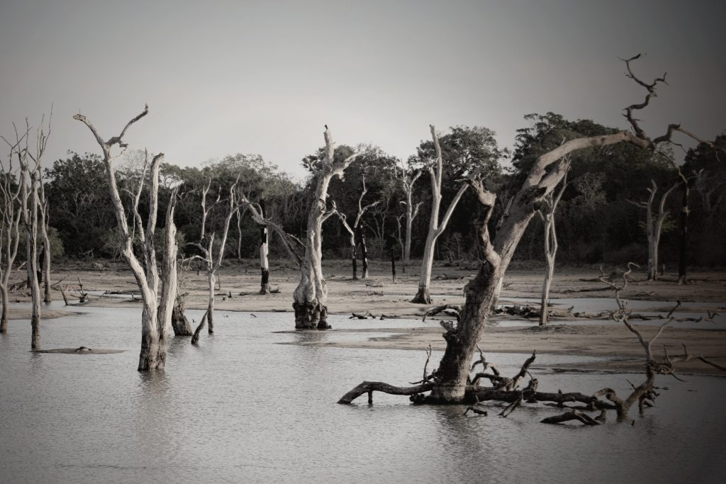 Flooding in Southern Swamp region