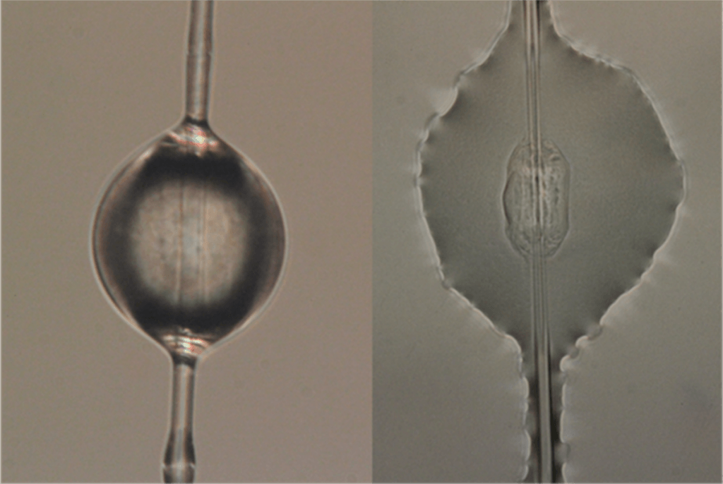 Two-sided Tape Inspired By Spiderwebs Closes Wounds in Seconds