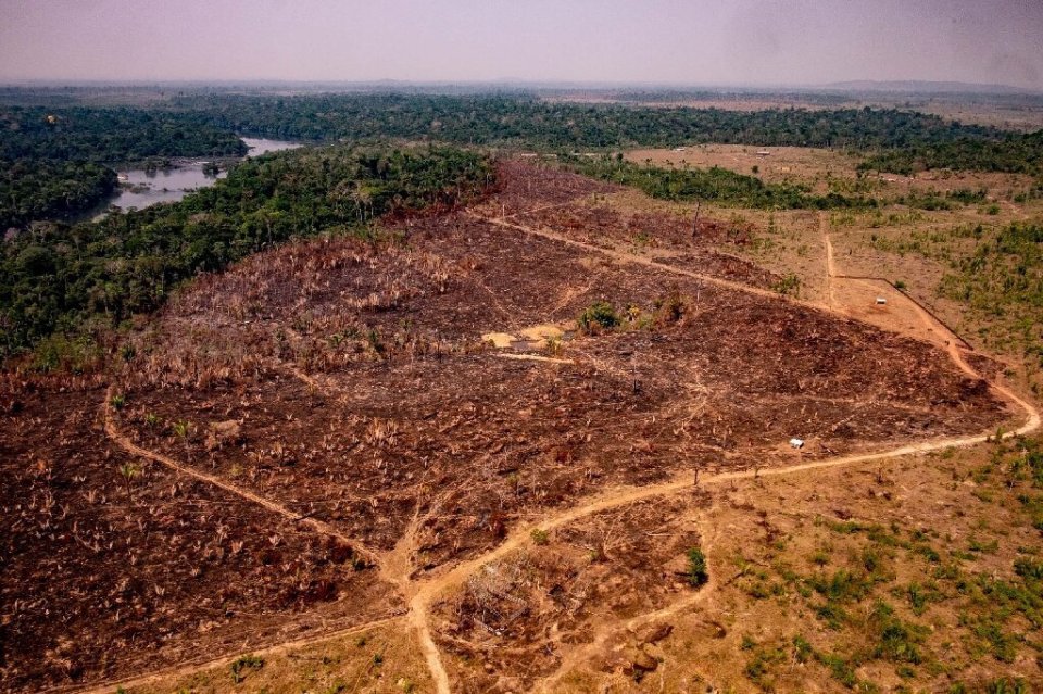 Example of the deforestation being done in the Amazon