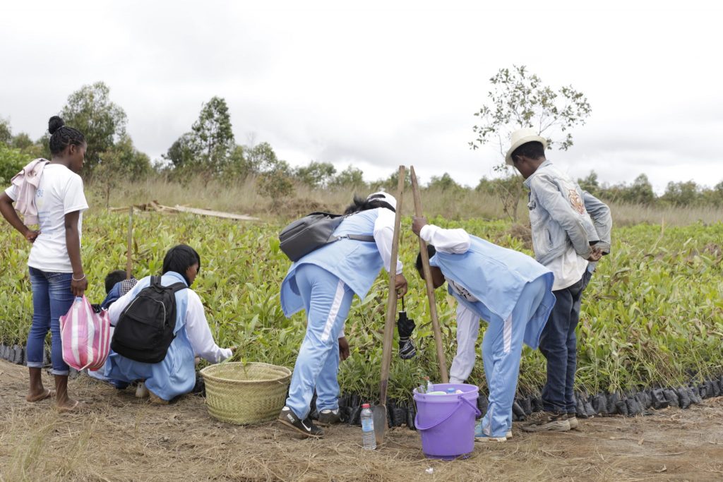 Madagascar To Plant 60 Million Trees In The Next Few Months