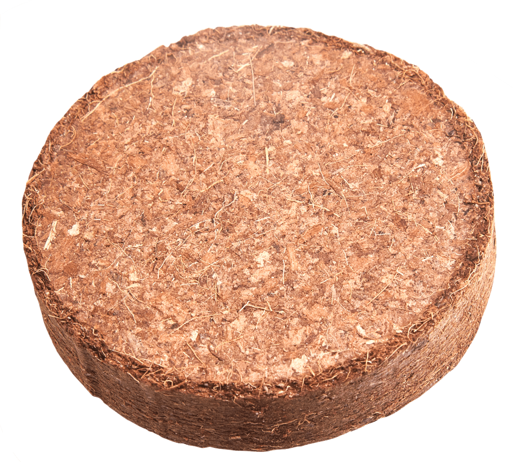 Bace rotofarm 100% biodegradable seed pod