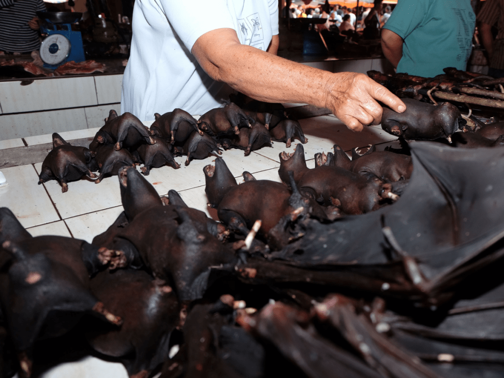 Markets Selling Wild Animals Still Operational Despite COVID-19