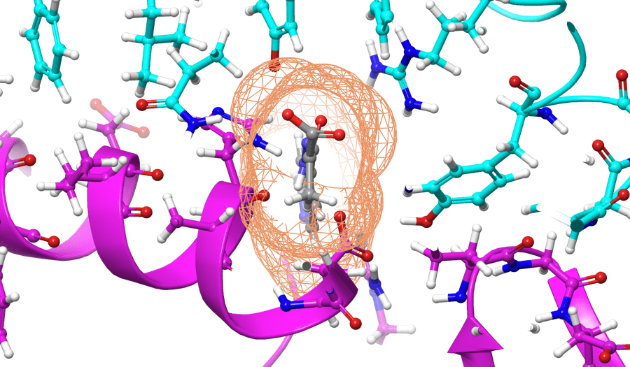 The grey compound would bind to the SARS-CoV-2 protein preventing it from docking.